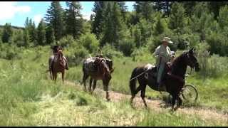 Trail Etiquette for hikers bikers and horse riders on the National Forest [upl. by Aevin876]