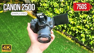 Amateur Price For A Pro DSLR  Canon 250D Review [upl. by Anoniw]