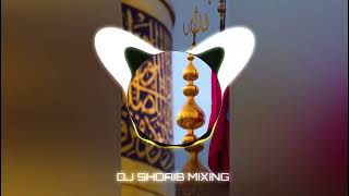 Haider Qalandar Bol Re Momin Dj Remix New Dj Muharram Qawwali 2024 Dj Shoaib Mixing [upl. by Menard]