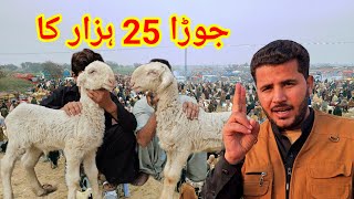 Bakra Eid Mandi  2024 😱 Budh Ke Din Ki Mandi [upl. by Cornall683]