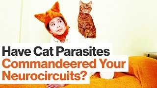 How Parasites Commandeer and Change Our Neurocircuits  Kathleen McAuliffe  Big Think [upl. by Delphinia]