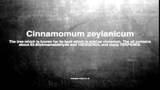 Medical vocabulary What does Cinnamomum zeylanicum mean [upl. by Anirehtac]