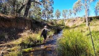 Troutfest 2024 Insane Trout Fishing [upl. by Towny868]