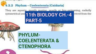 Class 11 BiologyCh4 Part5Phylum Coelenterata amp CtenophoraStudy with Farru [upl. by Noerb]