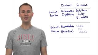 Recessive and Gain of function  Tales from the Genome [upl. by Kaitlynn896]