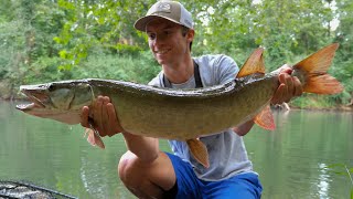 CLEAR WATER MUSKY FISHING The Fish of 10000 Casts [upl. by Linsk153]