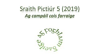 Sraith Pictiúr Ag campáil cois farraige [upl. by Esau]