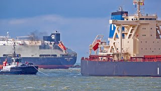 SHIPPING TRAFFIC AT PORT OF ROTTERDAM NETHERLANDS  4K SHIPSPOTTING JULY 2024 [upl. by Nelram]