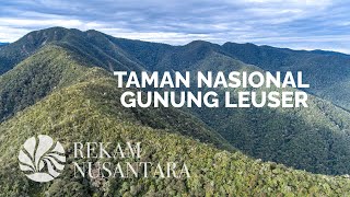 Taman Nasional Gunung Leuser  Leuser Ecosystem Rainforest [upl. by Dambro466]