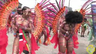 Toronto Revellers At Parade Of The Bands Toronto Carnival 2022 [upl. by Schilling]