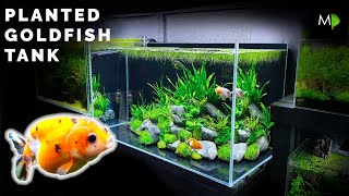 How To Planted Goldfish Aquarium Tutorial  The Ranchu Crew [upl. by Virginie]