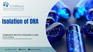 Isolation of Bacterial Genomic DNA  UniBiosys Biotech Research Labs [upl. by Gail]