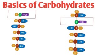 Basics of Carbohydrates Introduction to Carbohydrates Structure of Monosaccharides [upl. by Vasily]