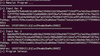 Recover Bitcoin Private Key  Get RSZ value From Tx Hash Script [upl. by Maidy]