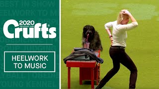 International Freestyle Heelwork To Music  Part 3  Crufts 2020 [upl. by Avehs]