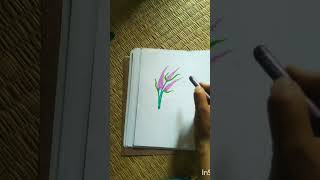 Pastel colour drawing drawing art colors [upl. by Acenahs173]