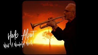 HERB ALPERT  WHAT A WONDERFUL WORLD Official Video [upl. by Nirok]