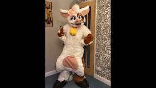 Daisy Cow Pantomime Costume Showcase [upl. by Asira]