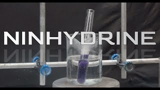 Ninhydrin synthesis Amino acid reagent [upl. by Savory]