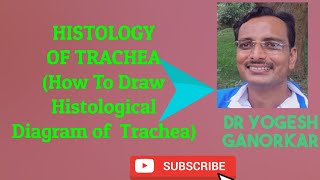 HOW TO DRAW HISTOLOGICAL DIAGRAM OF TRACHEA BY DR YOGESH GANORKAR [upl. by Leumas]