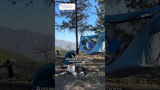 Hammock tent camping with a dog Answering your questions about the Haven Hammock Tent campinggear [upl. by Ybur]