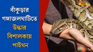 PythonBankuraর Gangajalghati ব্লকের দেউলী গ্রামে উদ্ধার সাত ফুটের পাইথন Bankura Bangla News [upl. by Dirraj]