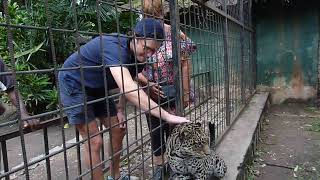 Leopard Bujumbura Zoo Django AJK Dany Pierre Visit Burundi 2022 Musée Vivant [upl. by Airolg929]