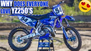 Why does everyone love Yamaha YZ250 2Stokes [upl. by Coulombe]