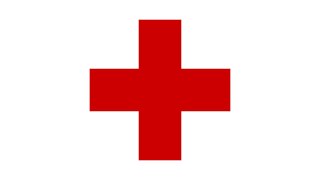 How was the Red Cross Created [upl. by Pattin]