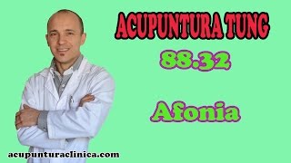 8832  Afonia  Tung  Acupunturaclinicacom [upl. by Laekim133]