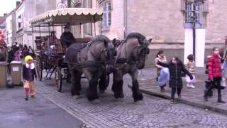 Deux Beau Chevaux a Calèche [upl. by Ever]