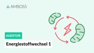 Energiestoffwechsel Teil 1  Woher bezieht der Körper seine Energie  AMBOSS Auditor [upl. by Nitsoj]