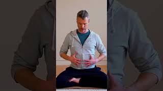 How to properly breathe using your diaphragm The benefits of diaphragmatic breathing [upl. by Lunette356]