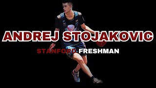 Stanford Freshman Andre Stojakovic 16 points 5 rebounds vs Arizona nbadraft NBA peja [upl. by Ahseem]