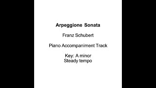 Schubert  Arpeggione Sonata D 821 Cello  Piano  piano accompaniment with score steady tempo [upl. by Belford]