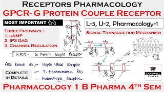 Absorption complete  Solution Part 2 Unit 1  Biopharmaceutics 6th Sem [upl. by Arrac339]