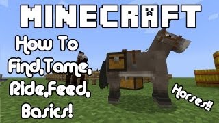 Minecraft Horses How To Find Tame Ride Feed Basics [upl. by Itida616]