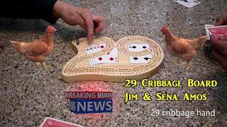 Cribbage 29 Board Jim amp Sena Amos [upl. by Katha31]