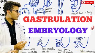 Embryology  Gastrulation [upl. by Metzger]