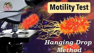 Bacterial Identification Tests Motility Test Hanging drop method [upl. by Eelanna722]