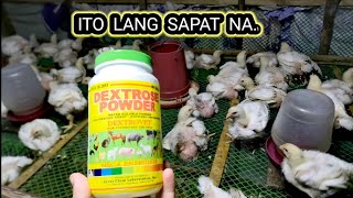 BAKIT DEXTROSE POWDER LANG ANG GINAGAMIT KO NA VITAMINS PARA SA BROILER CHICKEN AT WALA NANG IBA PA [upl. by Osy773]