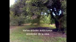 Video  Campo 60 has Minas Lavalleja [upl. by Lapotin242]