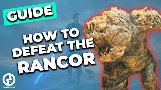 How To Find And Defeat The Rancor Boss In Star Wars Jedi Survivor [upl. by Sanez]