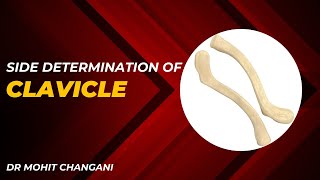 Clavicle Side Determination  Anatomy Made Simple [upl. by Egroej482]