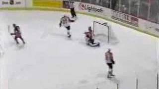 Niedermayer Scores From Center Ice [upl. by Beitris382]