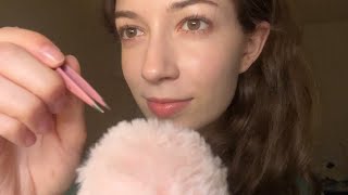 ASMR bug searching amp tingly triggers ✨ [upl. by Irbua]