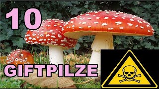 Die 10 GIFTIGSTEN PILZE 🍄 Toxic Mushrooms ⚠️ [upl. by Ailet]