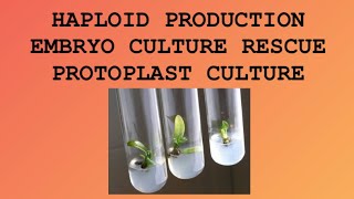 Haploid Production  Embryo culture Rescue  Protoplast culture and its Isolation  Amitian Notes [upl. by Aldredge]