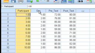 Paired Sample ttest [upl. by Anitsirhk254]