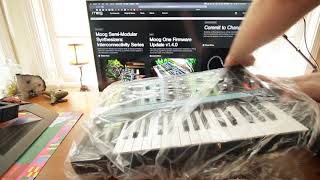 Moog Grandmother unboxing [upl. by Stephens308]